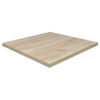 Horeca-Tafelblad-Madrid-K2-70x70-2.8-Cm-Dik-B